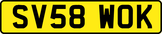 SV58WOK