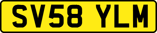 SV58YLM
