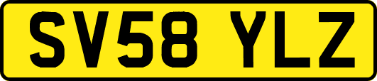 SV58YLZ