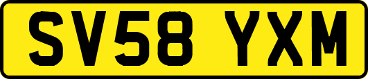 SV58YXM