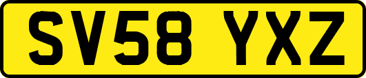 SV58YXZ