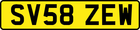 SV58ZEW