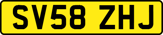 SV58ZHJ