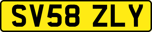 SV58ZLY
