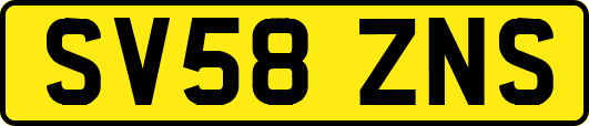 SV58ZNS