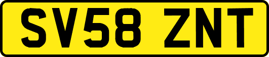 SV58ZNT