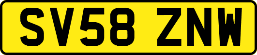 SV58ZNW