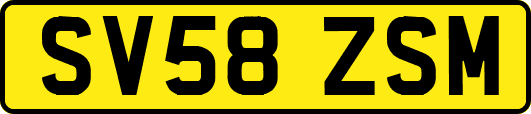 SV58ZSM