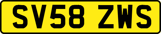 SV58ZWS