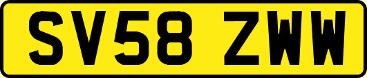 SV58ZWW