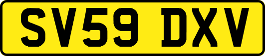 SV59DXV