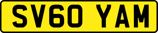 SV60YAM
