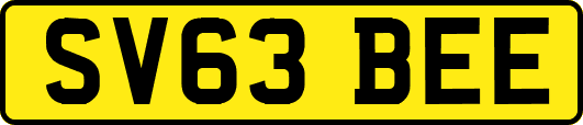 SV63BEE