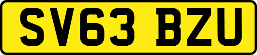 SV63BZU