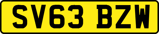 SV63BZW