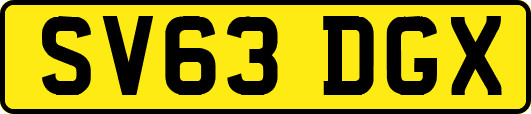 SV63DGX