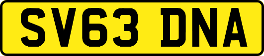 SV63DNA