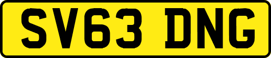 SV63DNG