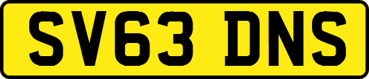 SV63DNS