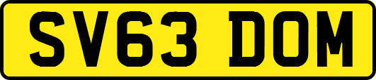 SV63DOM