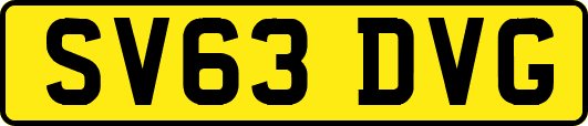 SV63DVG