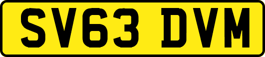 SV63DVM