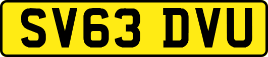 SV63DVU