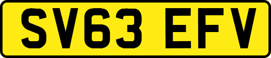 SV63EFV