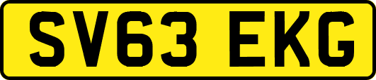SV63EKG