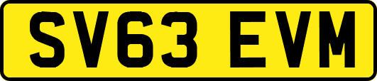 SV63EVM