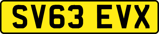 SV63EVX