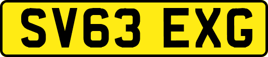 SV63EXG