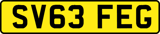 SV63FEG