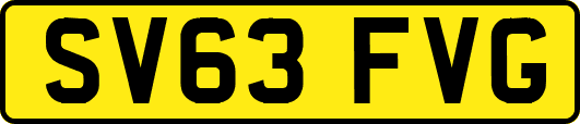 SV63FVG