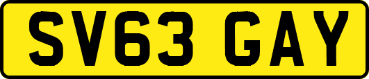 SV63GAY