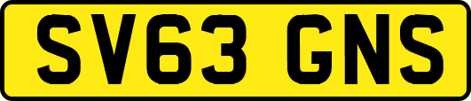 SV63GNS