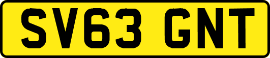 SV63GNT