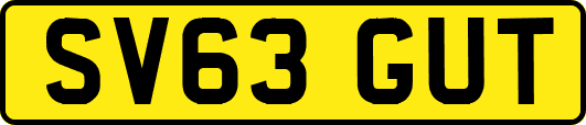 SV63GUT
