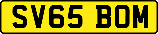 SV65BOM