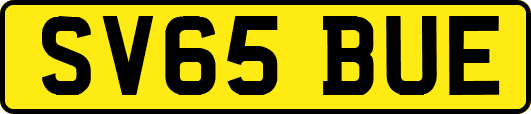 SV65BUE