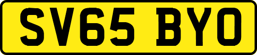 SV65BYO