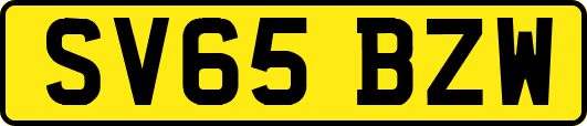 SV65BZW