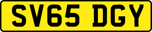 SV65DGY