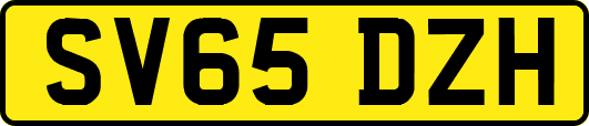 SV65DZH