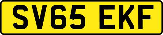 SV65EKF