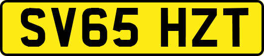SV65HZT