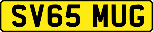 SV65MUG