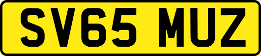 SV65MUZ