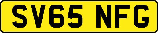SV65NFG