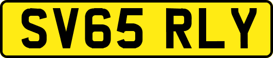 SV65RLY